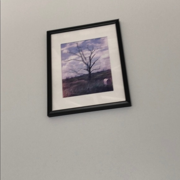 Meet your Posher, Fellini - Picture 1 of 1